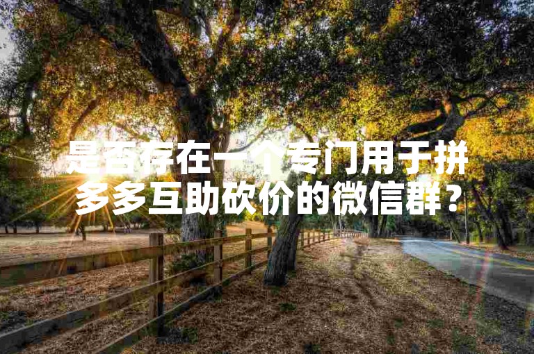 是否存在一个专门用于拼多多互助砍价的微信群？