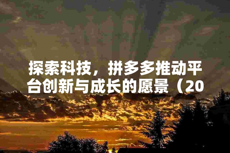 探索科技，拼多多推动平台创新与成长的愿景（2025前瞻）。