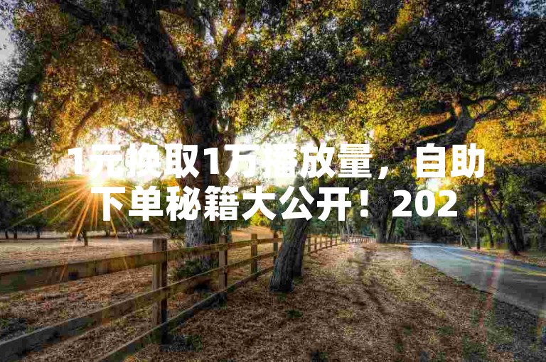 1元换取1万播放量，自助下单秘籍大公开！2025年必备技能。