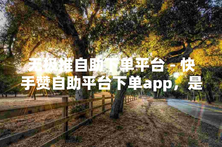 无极推自助下单平台 - 快手赞自助平台下单app，是一款便捷的手机应用程序，为用户提供了快速、方便的快手点赞服务。