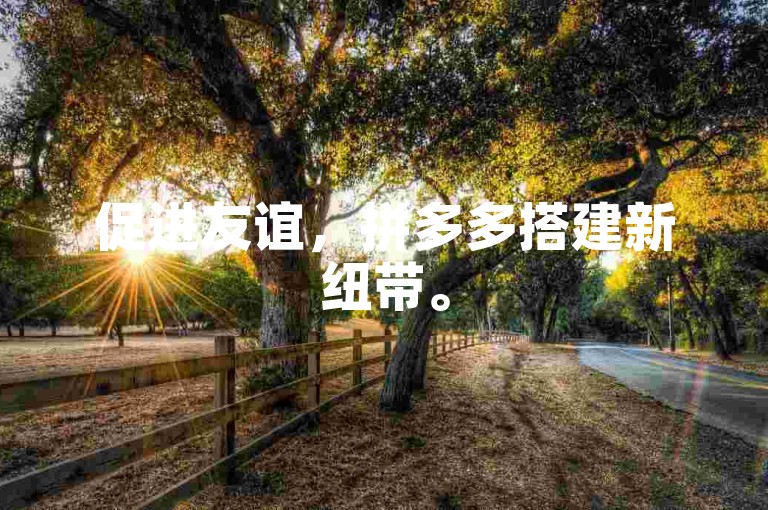 促进友谊，拼多多搭建新纽带。