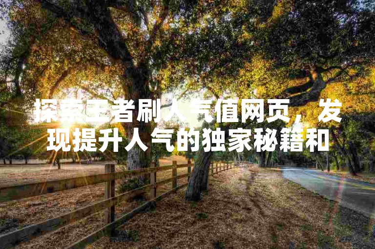 探索王者刷人气值网页，发现提升人气的独家秘籍和实用技巧。