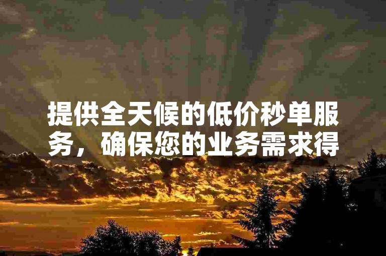提供全天候的低价秒单服务，确保您的业务需求得到快速满足。