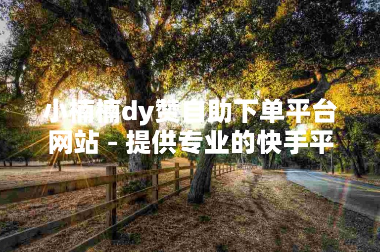 小楠楠dy赞自助下单平台网站 - 提供专业的快手平台点赞服务。