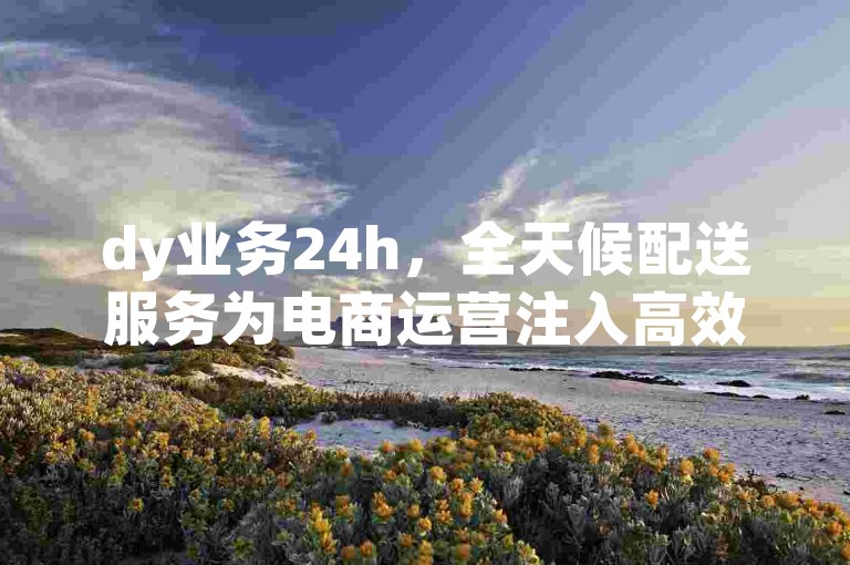 dy业务24h，全天候配送服务为电商运营注入高效动力。