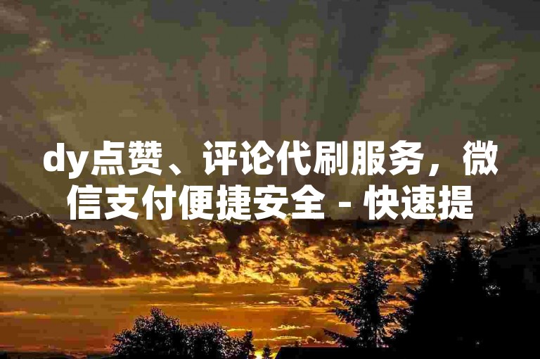 dy点赞、评论代刷服务，微信支付便捷安全 - 快速提升dy视频热度