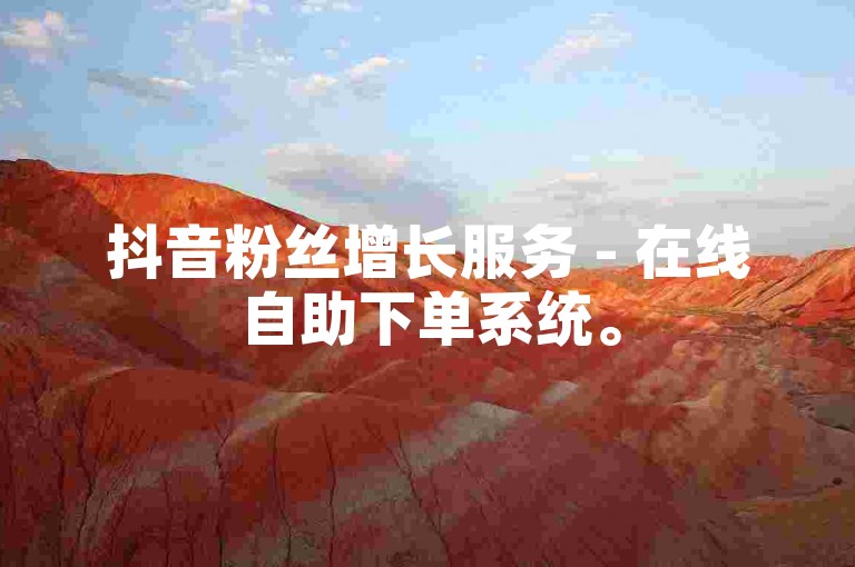 抖音粉丝增长服务 - 在线自助下单系统。