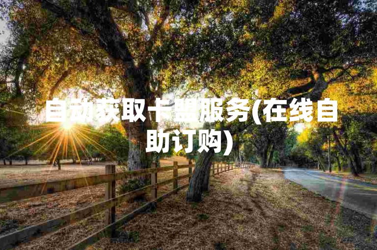 自动获取卡盟服务(在线自助订购)