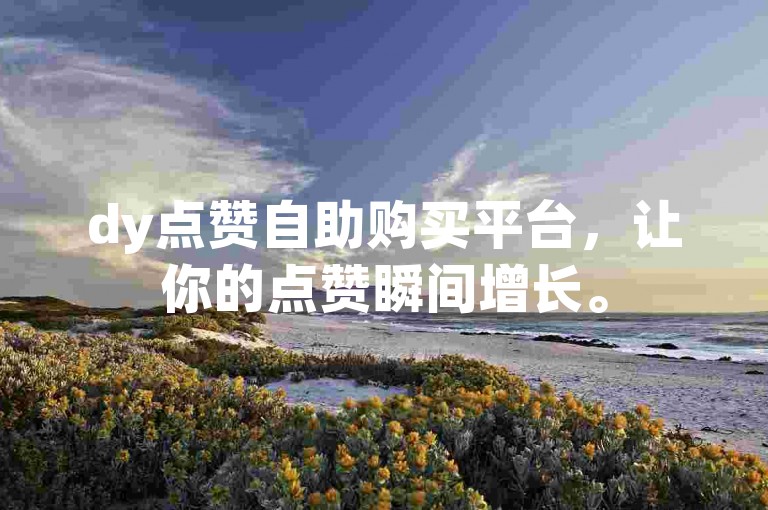 dy点赞自助购买平台，让你的点赞瞬间增长。