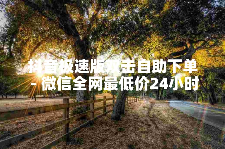 抖音极速版双击自助下单 - 微信全网最低价24小时自助下单平台