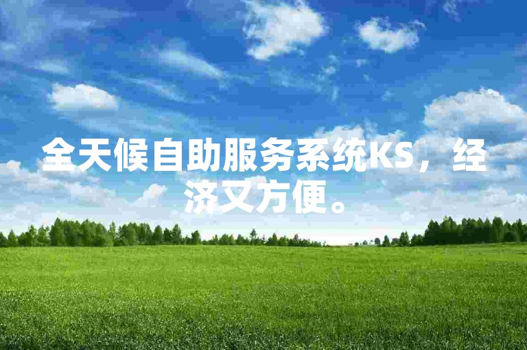 全天候自助服务系统KS，经济又方便。