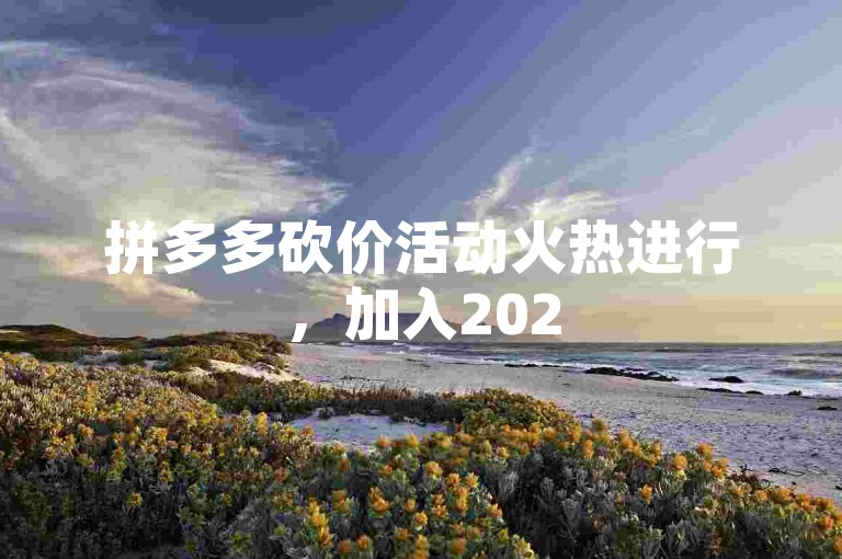 拼多多砍价活动火热进行，加入2025互助群，共享优惠乐趣！