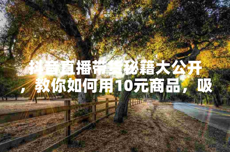 抖音直播带货秘籍大公开，教你如何用10元商品，吸引10万观众！2025电商必备技巧。
