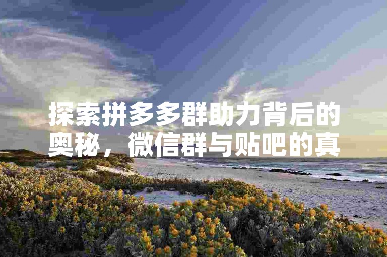 探索拼多多群助力背后的奥秘，微信群与贴吧的真相大揭秘！
