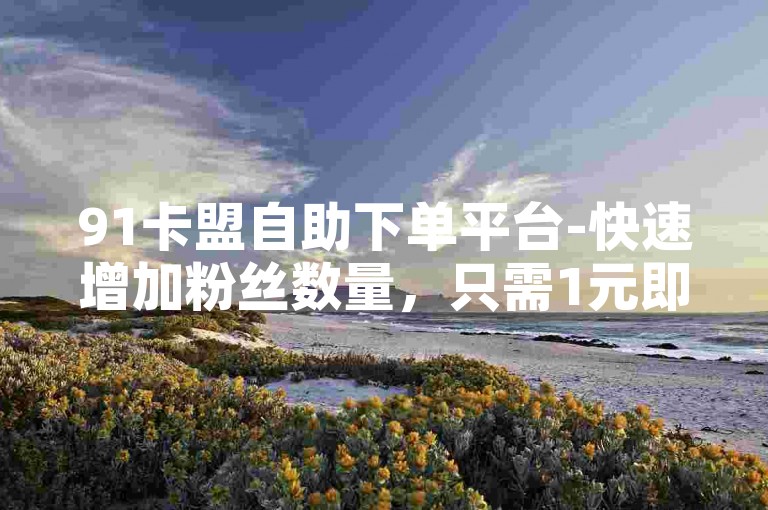 91卡盟自助下单平台-快速增加粉丝数量，只需1元即可获得1000个粉丝。