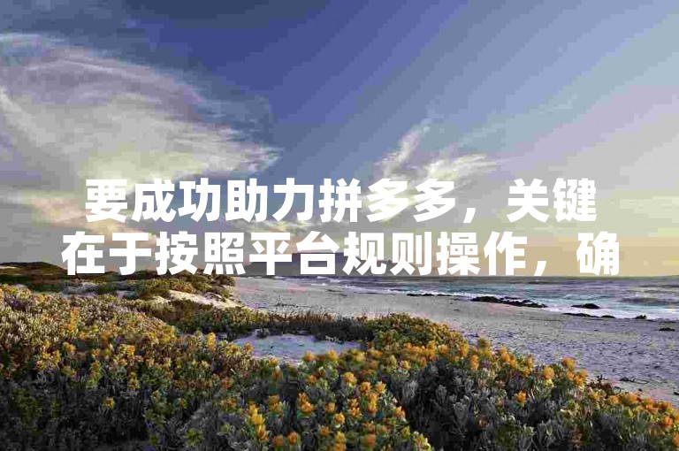 要成功助力拼多多，关键在于按照平台规则操作，确保新人账号满足助力条件。