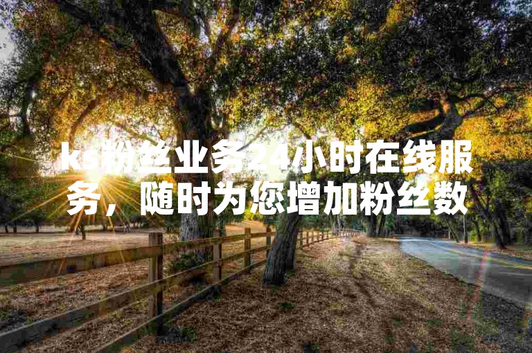 ks粉丝业务24小时在线服务，随时为您增加粉丝数量。