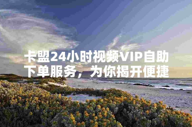 卡盟24小时视频VIP自助下单服务，为你揭开便捷获取会员的秘密，成为2025年必备技能！