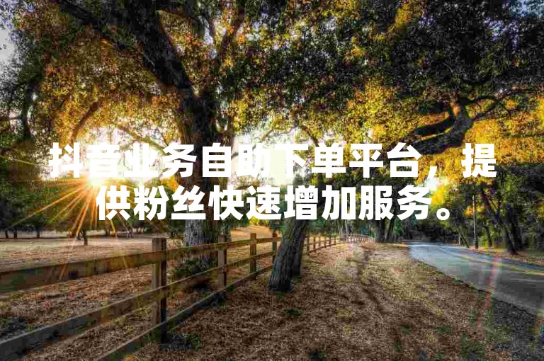 抖音业务自助下单平台，提供粉丝快速增加服务。