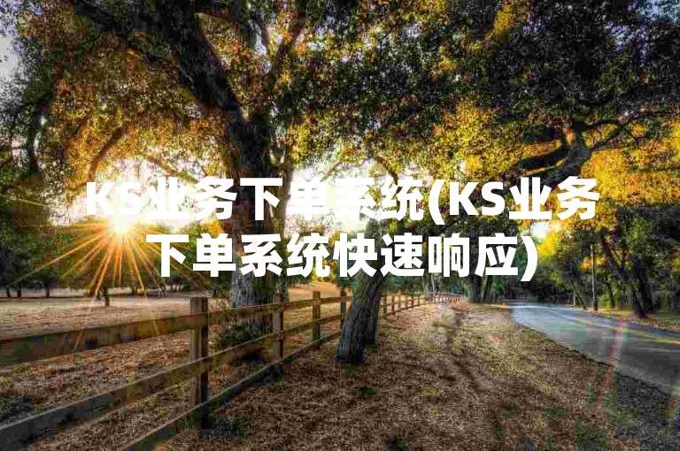 KS业务下单系统(KS业务下单系统快速响应)
