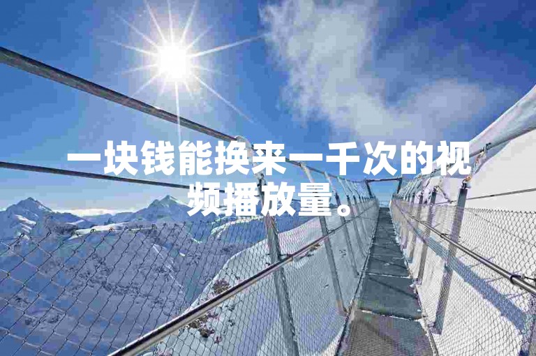 一块钱能换来一千次的视频播放量。