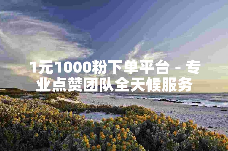 1元1000粉下单平台 - 专业点赞团队全天候服务