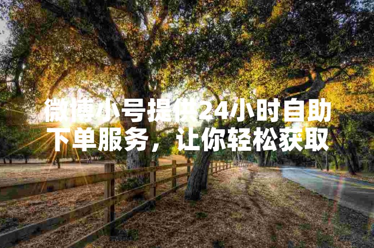 微博小号提供24小时自助下单服务，让你轻松获取卡盟资源。