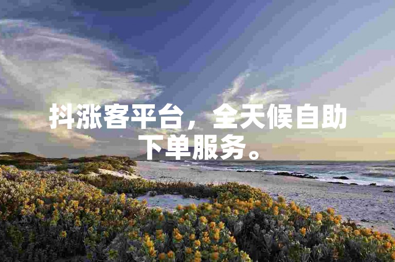 抖涨客平台，全天候自助下单服务。