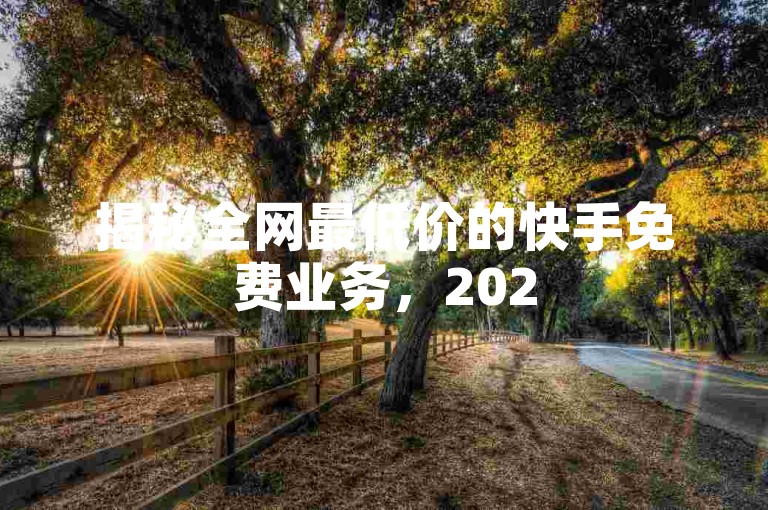 揭秘全网最低价的快手免费业务，2025年必掌握的独家优惠！