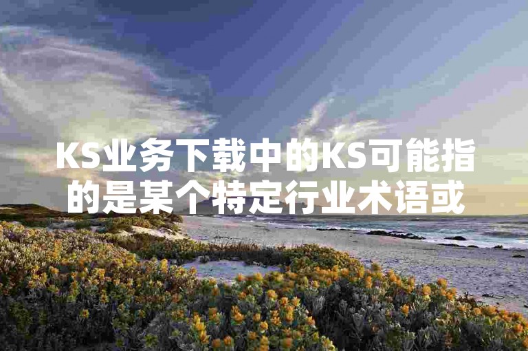 KS业务下载中的KS可能指的是某个特定行业术语或缩写，具体含义需根据上下文确定。