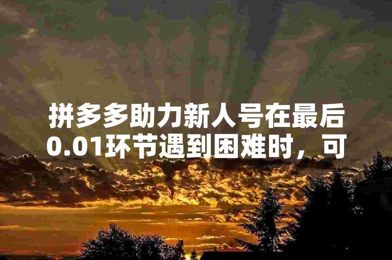 拼多多助力新人号在最后0.01环节遇到困难时，可以尝试邀请更多新用户来助力。
