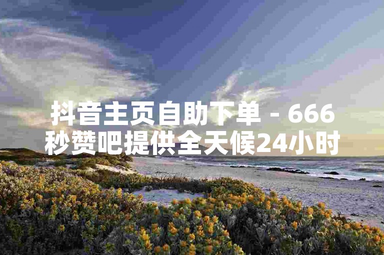 抖音主页自助下单 - 666秒赞吧提供全天候24小时自助下单服务。