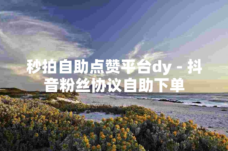 秒拍自助点赞平台dy - 抖音粉丝协议自助下单