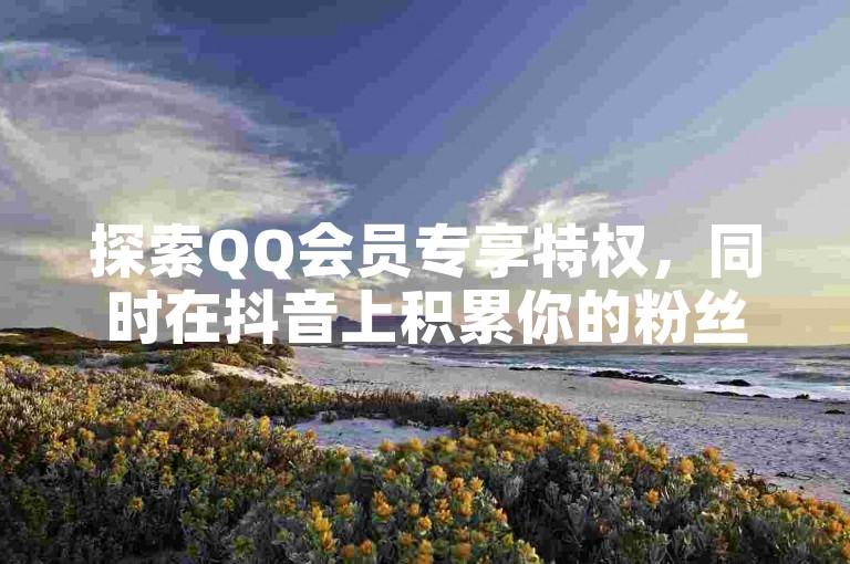 探索QQ会员专享特权，同时在抖音上积累你的粉丝群体。