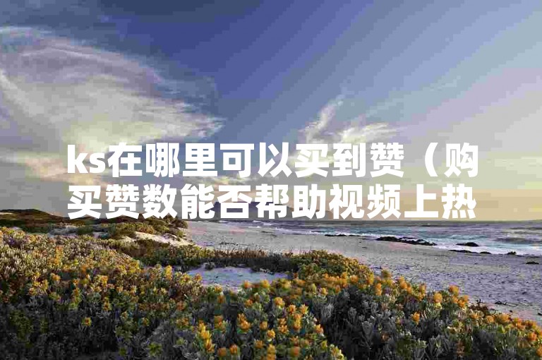 ks在哪里可以买到赞（购买赞数能否帮助视频上热门）？