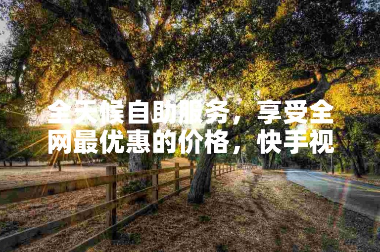 全天候自助服务，享受全网最优惠的价格，快手视频仅需0.5元即可获得100个赞。