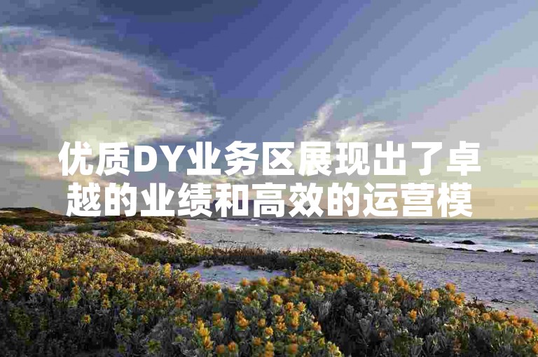 优质DY业务区展现出了卓越的业绩和高效的运营模式。