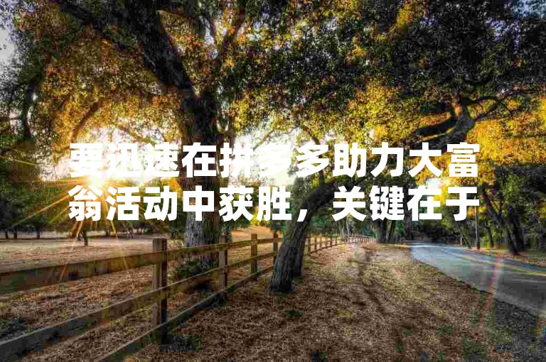 要迅速在拼多多助力大富翁活动中获胜，关键在于高效地利用社交网络，积极邀请好友参与助力，并巧妙安排自己的游戏策略。