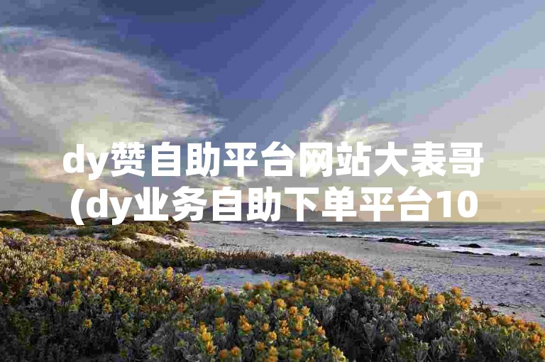 dy赞自助平台网站大表哥(dy业务自助下单平台10个赞)