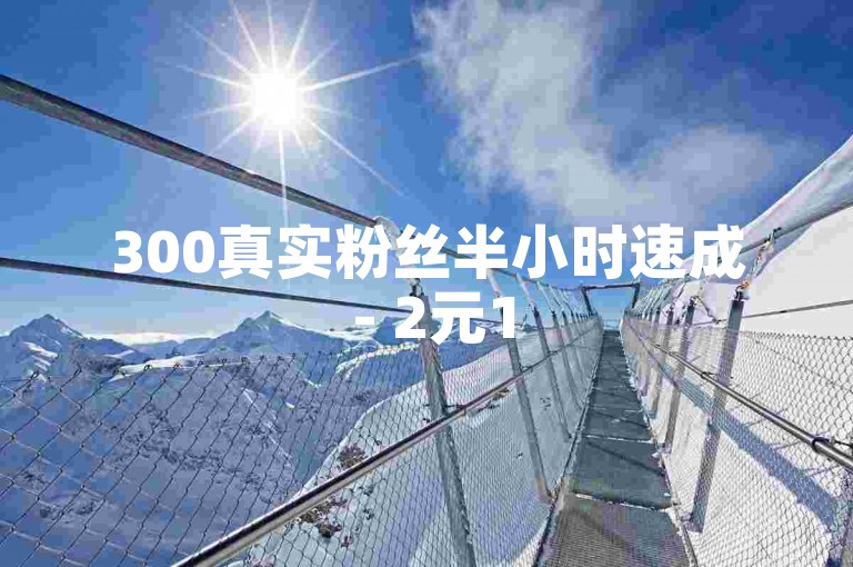 300真实粉丝半小时速成 - 2元150赞在线服务平台