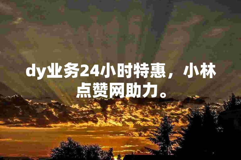 dy业务24小时特惠，小林点赞网助力。