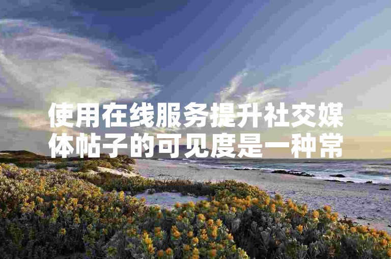 使用在线服务提升社交媒体帖子的可见度是一种常见的网络营销策略。