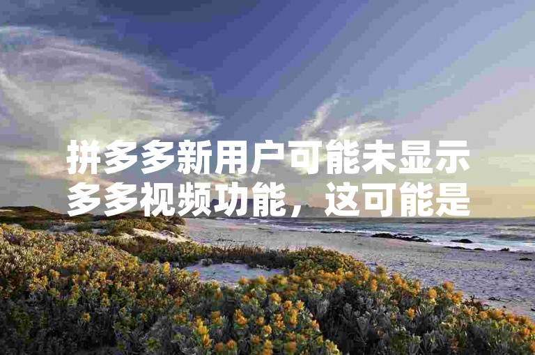 拼多多新用户可能未显示多多视频功能，这可能是因为应用版本差异或地区限制导致的。