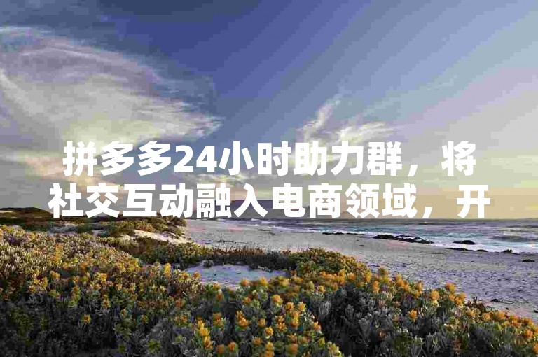 拼多多24小时助力群，将社交互动融入电商领域，开创了全新的购物模式。