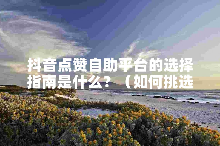 抖音点赞自助平台的选择指南是什么？（如何挑选合适的抖音点赞自助平台？）