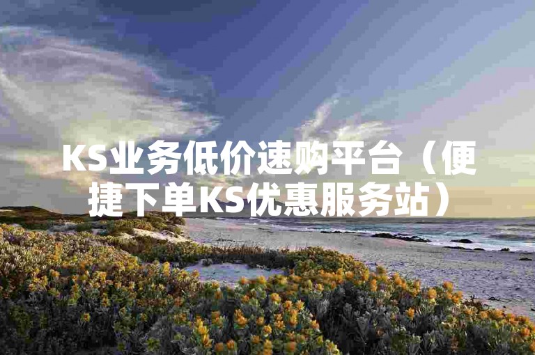 KS业务低价速购平台（便捷下单KS优惠服务站）