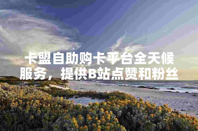 卡盟自助购卡平台全天候服务，提供B站点赞和粉丝增长业务。