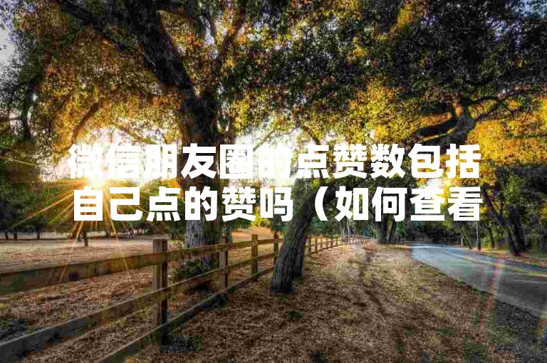 微信朋友圈的点赞数包括自己点的赞吗（如何查看自己的微信朋友圈点赞数并进行数据分析）。