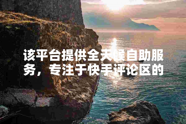 该平台提供全天候自助服务，专注于快手评论区的业务支持。