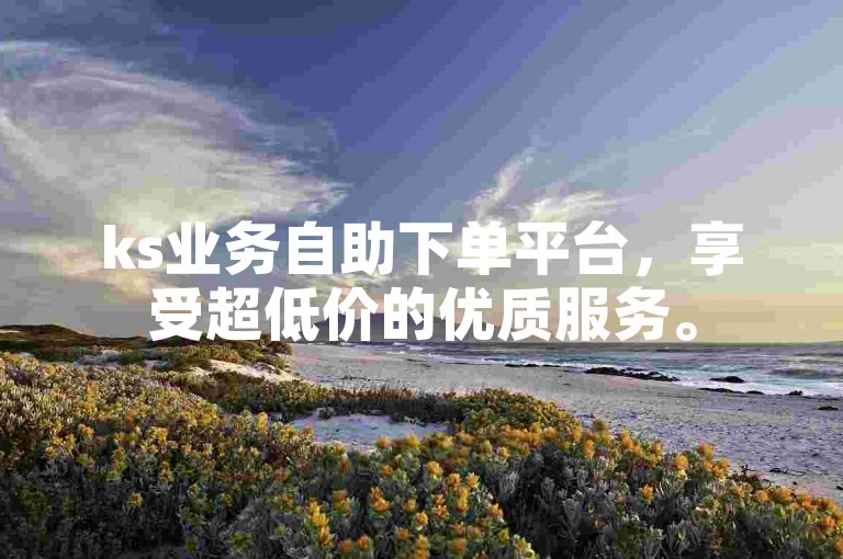 ks业务自助下单平台，享受超低价的优质服务。